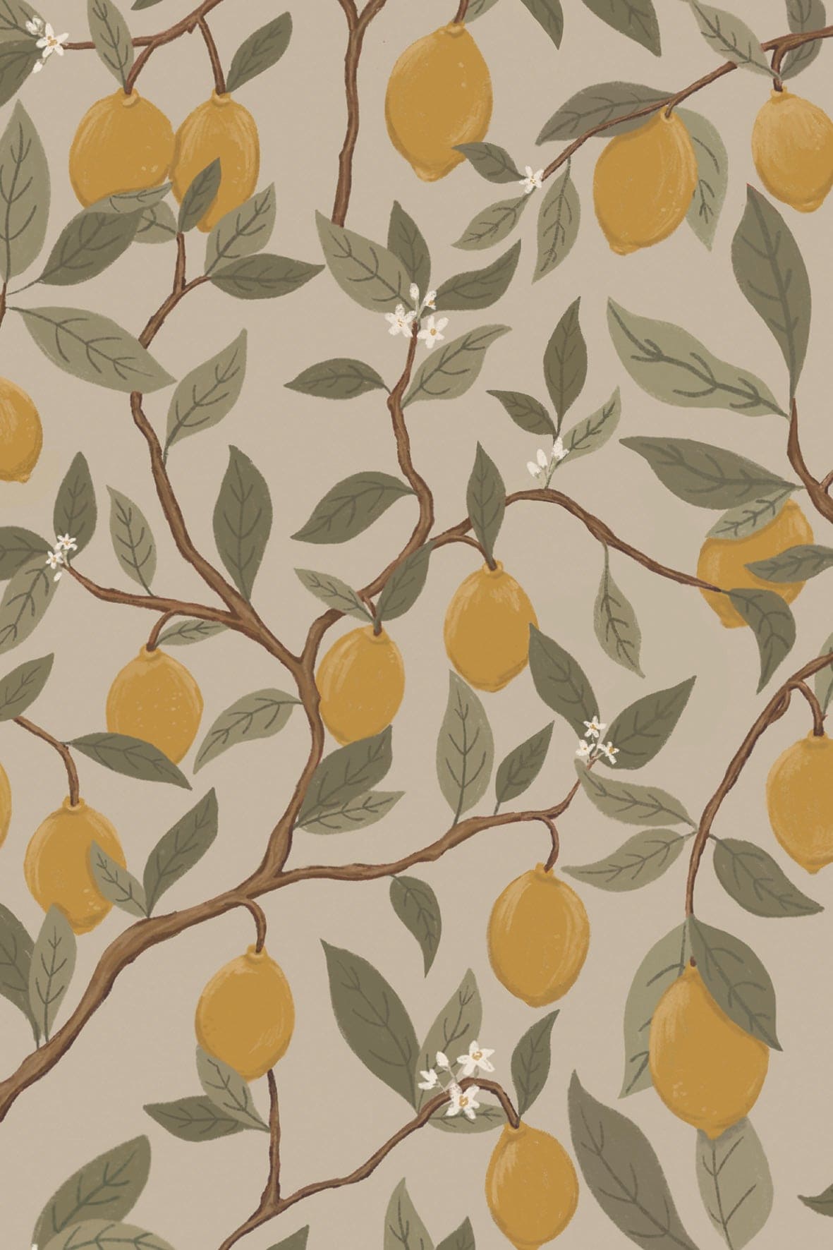 Lemon wallpaper nursery decor children's room lemons wallpapers