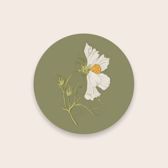Closing Seal White Flower