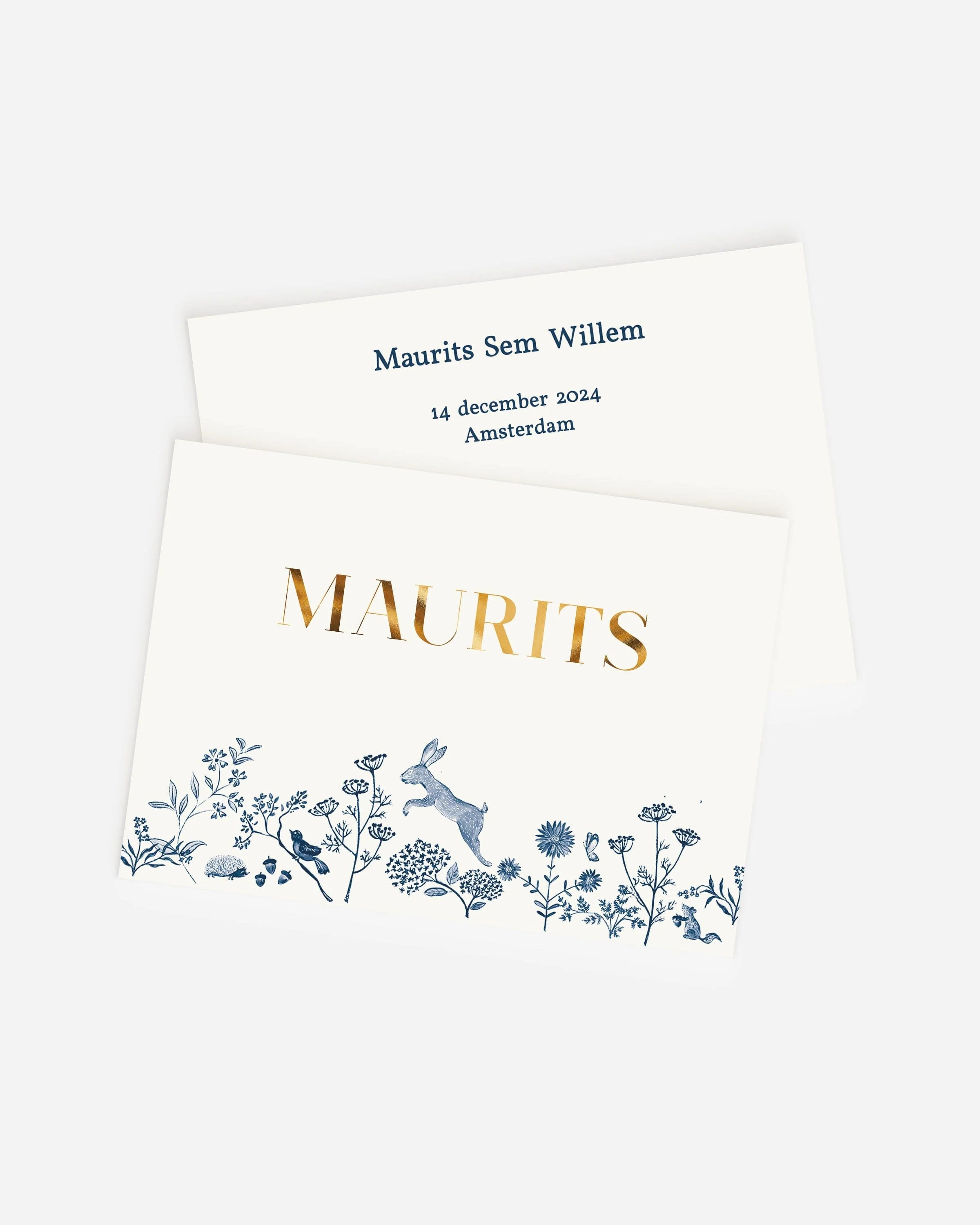 Sample Birth Card Forest Animals