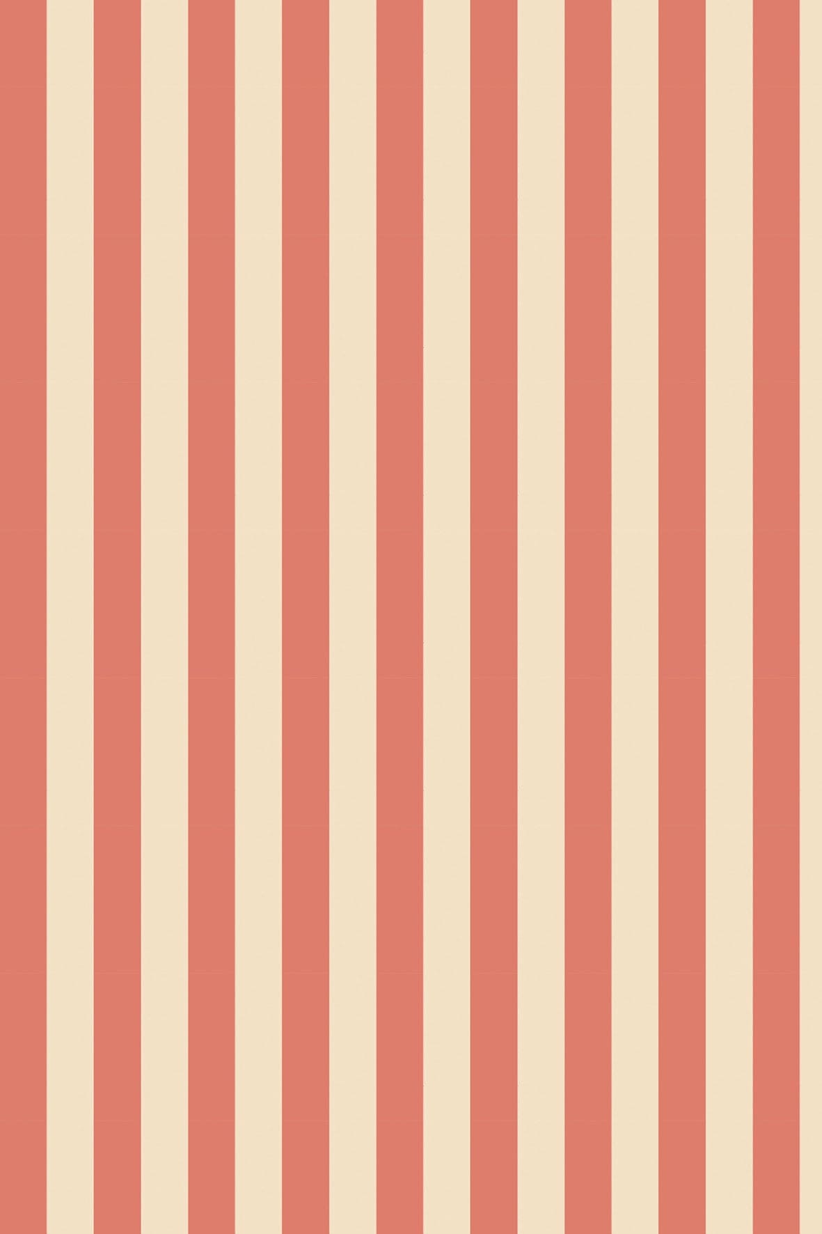 Wallpaper tiny stripes coral